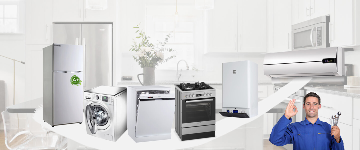Selim Electrolux Servisi